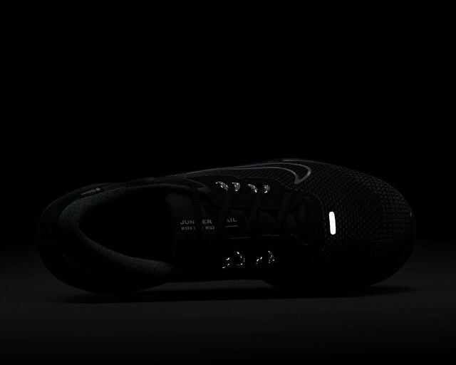 NIKE JUNIPER TRAIL 2 GTX V2 Erkek Arazi Tipi Koşu Ayakkabısı HM9734-001 Siyah