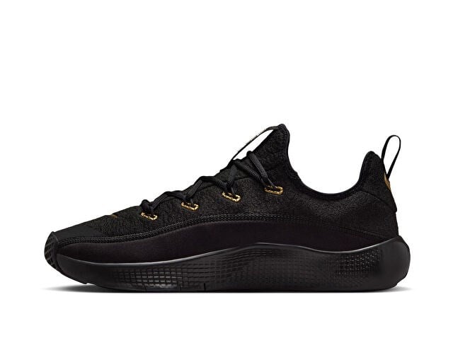 NIKE LEBRON TR 1 Erkek Basketbol Ayakkabısı FJ6151-004 Siyah