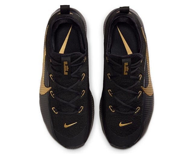 NIKE LEBRON TR 1 Erkek Basketbol Ayakkabısı FJ6151-004 Siyah