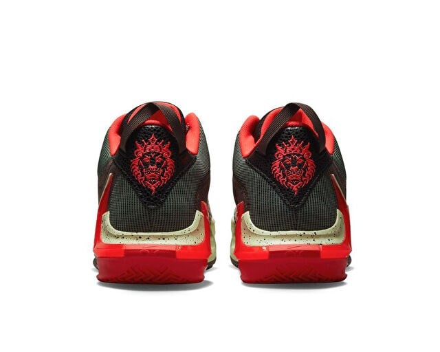 NIKE LEBRON WITNESS VII Unisex Basketbol Ayakkabısı DM1123-001 Çok Renkli