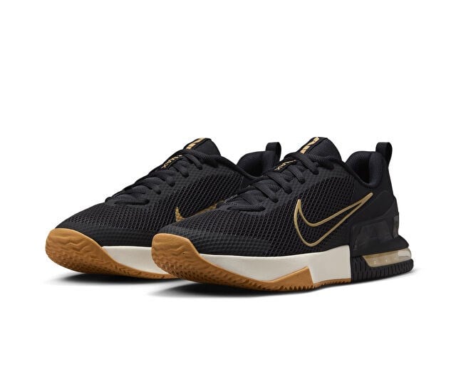 NIKE M AIR MAX ALPHA TRAINER 6 Erkek Antrenman Ayakkabısı FQ1833-012 Siyah