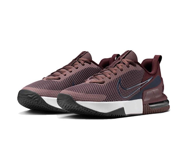 NIKE M AIR MAX ALPHA TRAINER 6 Erkek Antrenman Ayakkabısı FQ1833-500 Mor
