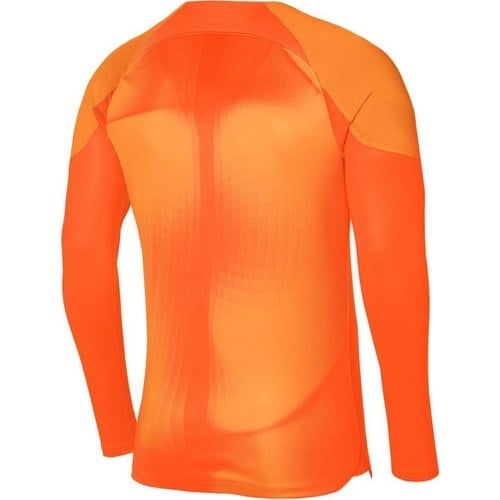 Nike M Nk Dfadv Gardıen Iv Gk Jsyls Erkek Kaleci Forması DH7967-819 Model Sezonluk Renkli