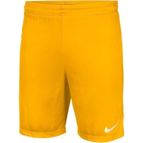 Nike Park II Knit Erkek Şort 725903-739