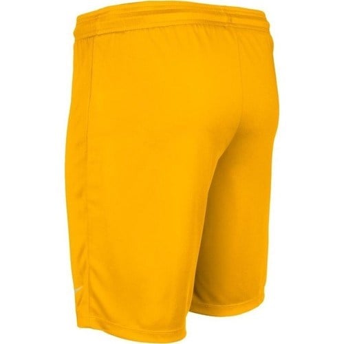 Nike Park II Knit Erkek Şort 725903-739