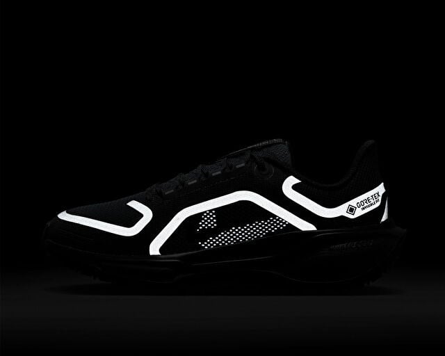 NIKE PEGASUS 41 GORE-TEX Kadın Koşu Ayakkabısı FQ1357-001 Siyah