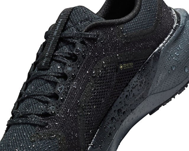 NIKE PEGASUS 41 GORE-TEX Kadın Koşu Ayakkabısı FQ1357-001 Siyah