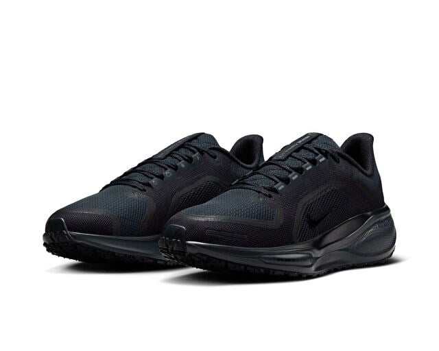NIKE PEGASUS 41 GORE-TEX Kadın Koşu Ayakkabısı FQ1357-001 Siyah