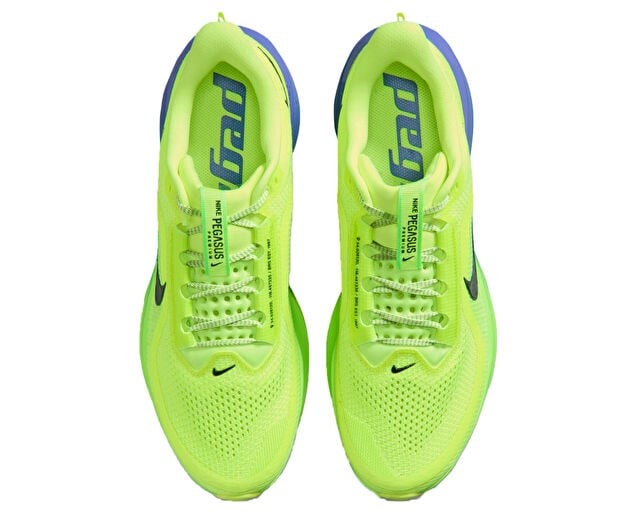 NIKE PEGASUS PREMIUM Erkek Koşu Ayakkabısı HQ2592-702 Yeşil