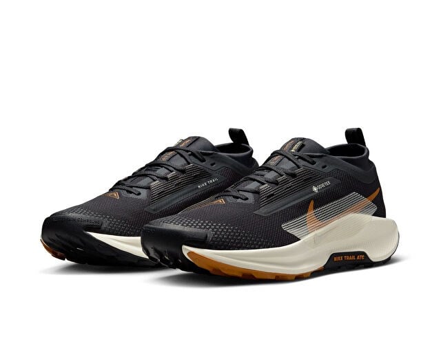 NIKE PEGASUS TRAIL 5 GORE-TEX Erkek Arazi Tipi Koşu Ayakkabısı FQ0908-007 Siyah