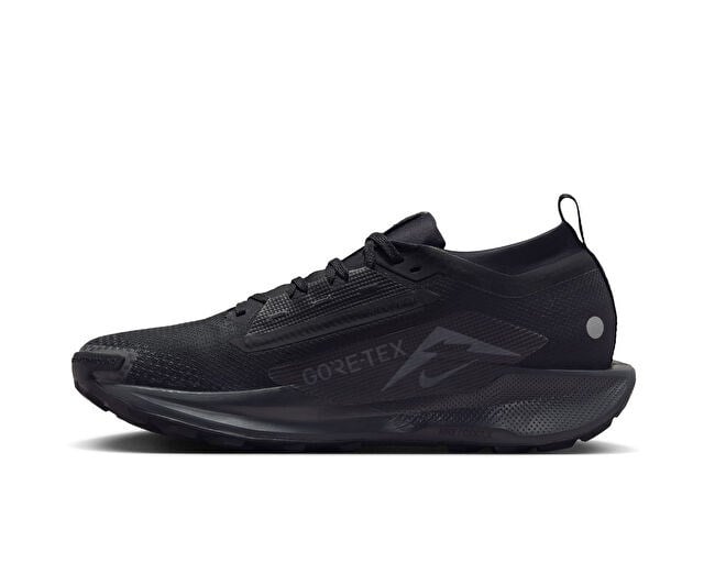 NIKE PEGASUS TRAIL 5 GTX Erkek Arazi Tipi Koşu Ayakkabısı FQ0908-002 Siyah