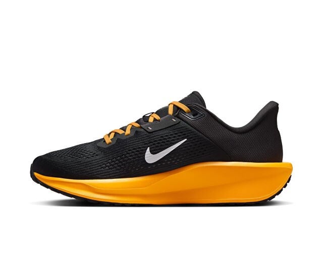 NIKE QUEST 6 ES Erkek Koşu Ayakkabısı HV3149-001 Siyah