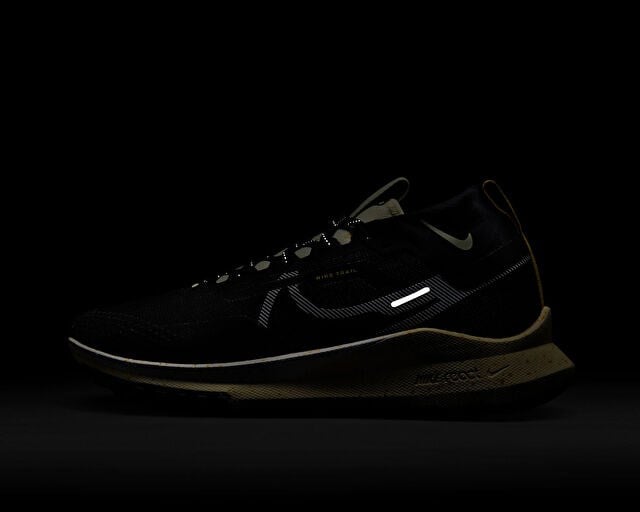 NIKE REACT PEGASUS TRAIL 4 GTX Erkek Arazi Koşu Ayakkabısı DJ7926-005 Siyah