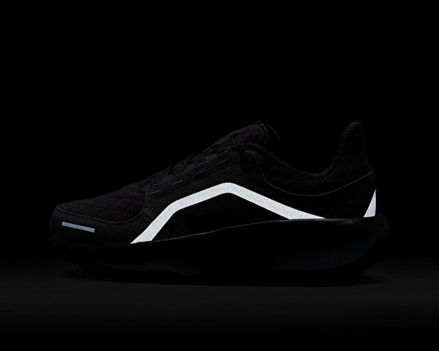 NIKE W AIR WINFLO 11 GTX Kadın Koşu Ayakkabısı FQ1359-001 Siyah