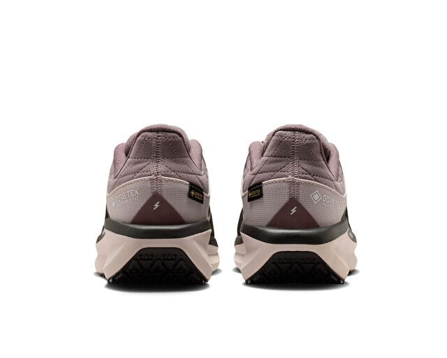 NIKE W AIR WINFLO 11 GTX Unisex Koşu Ayakkabısı FQ1359-200 Kahverengi