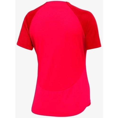 Nike W Nk Df Acdpr Ss Top K Kadın Antrenman Tişörtü DH9242_635