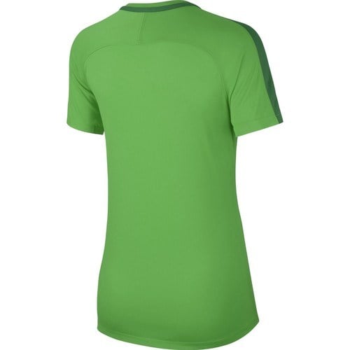 Nike W Nk Dry Acdmy18 Top Ss Kadın Tişört 893741-361