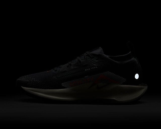 NIKE W PEGASUS TRAIL 5 GTX Kadın Arazi Tipi Koşu Ayakkabısı FQ0912-005 Siyah