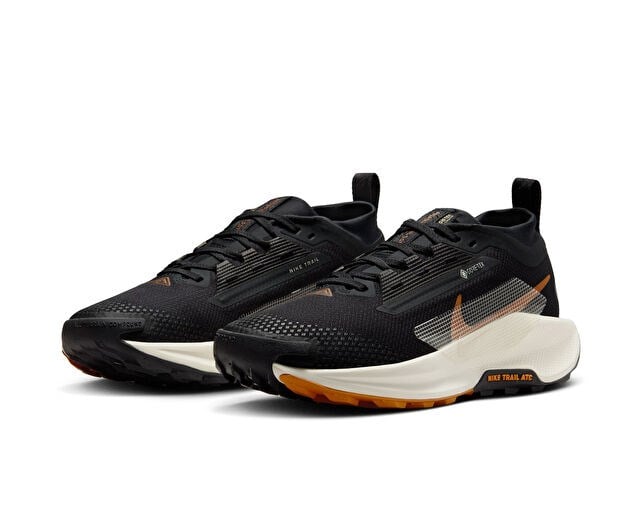 NIKE W PEGASUS TRAIL 5 GTX Kadın Arazi Tipi Koşu Ayakkabısı FQ0912-005 Siyah