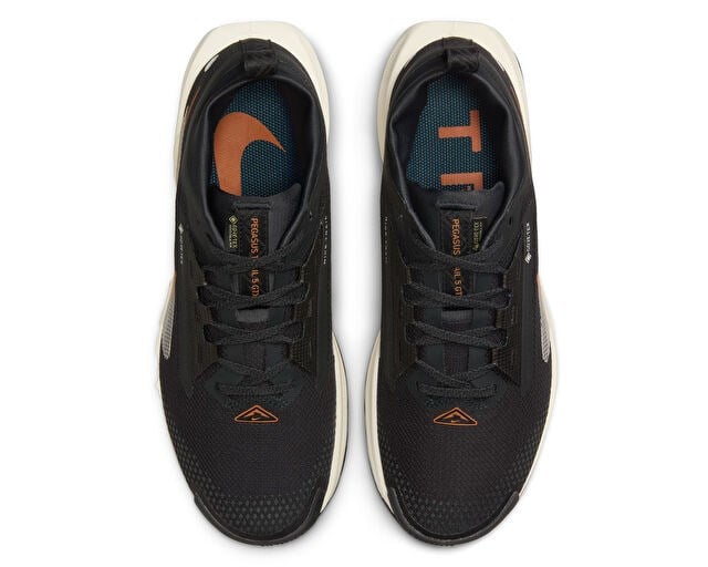 NIKE W PEGASUS TRAIL 5 GTX Kadın Arazi Tipi Koşu Ayakkabısı FQ0912-005 Siyah