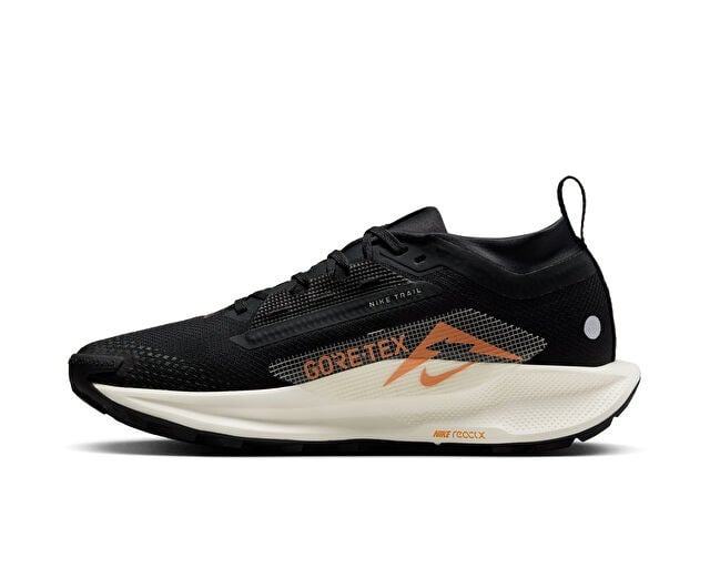 NIKE W PEGASUS TRAIL 5 GTX Kadın Arazi Tipi Koşu Ayakkabısı FQ0912-005 Siyah