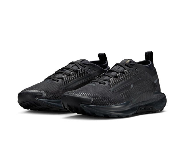 NIKE W PEGASUS TRAIL 5 GTX Unisex Arazi Tipi Koşu Ayakkabısı FQ0912-002 Siyah