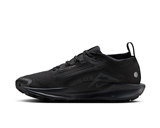 NIKE W PEGASUS TRAIL 5 GTX Unisex Arazi Tipi Koşu Ayakkabısı FQ0912-002 Siyah