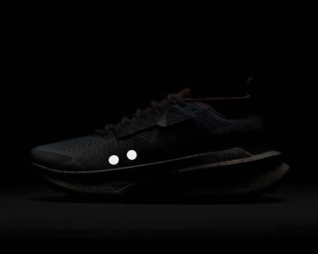 NIKE W ZOOMX ZEGAMA TRAIL 2 Kadın Arazi Tipi Koşu Ayakkabısı FD5191-006 Gri