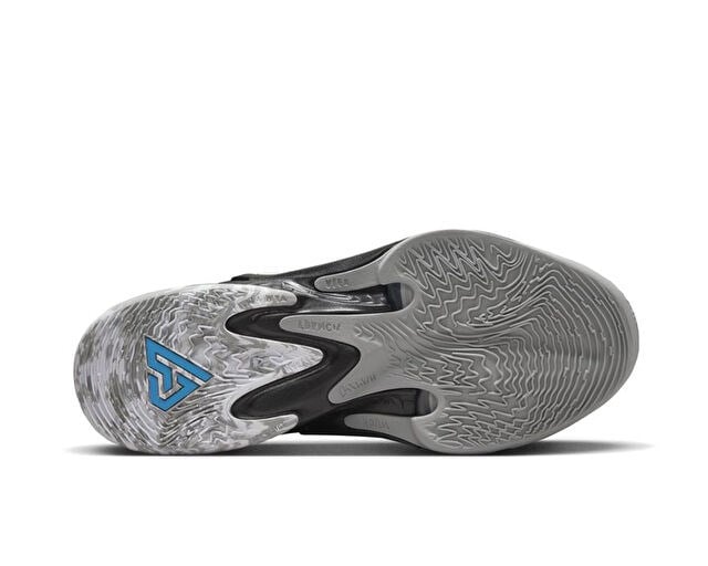 NIKE ZOOM FREAK 4 Unisex Basketbol Ayakkabısı DJ6149-001 Siyah