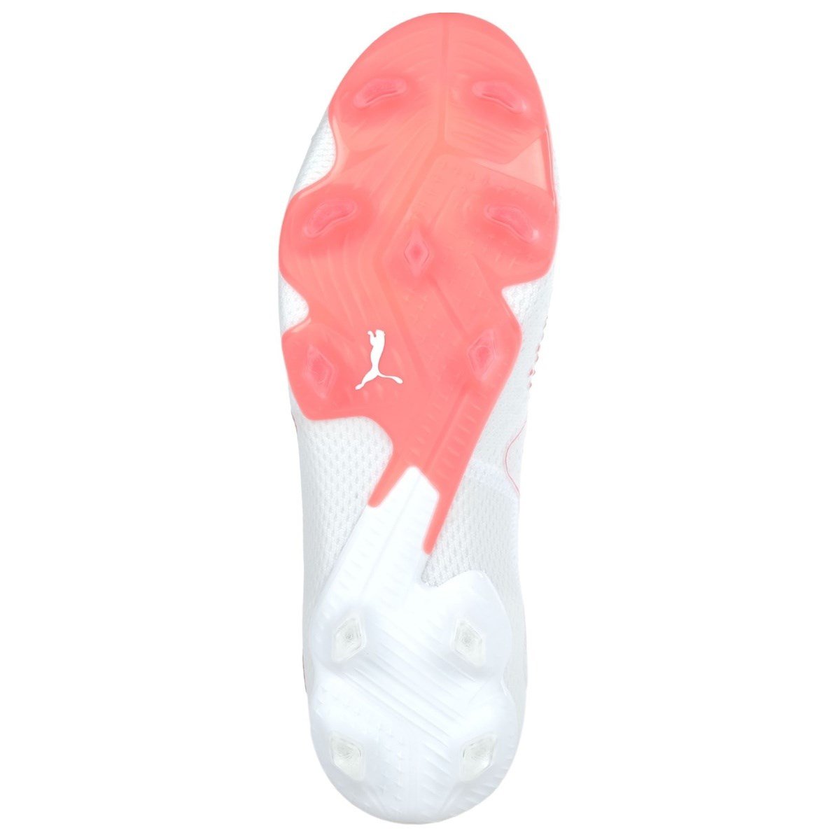 Puma Future Ultimate FG/AG -  107355-01