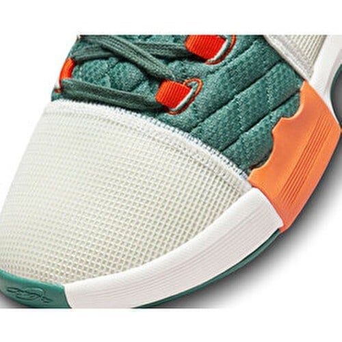 Unisex Basketbol Ayakkabısı FB2239-101 Çok Renkli Lebron Witness 8