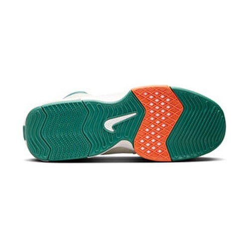 Unisex Basketbol Ayakkabısı FB2239-101 Çok Renkli Lebron Witness 8