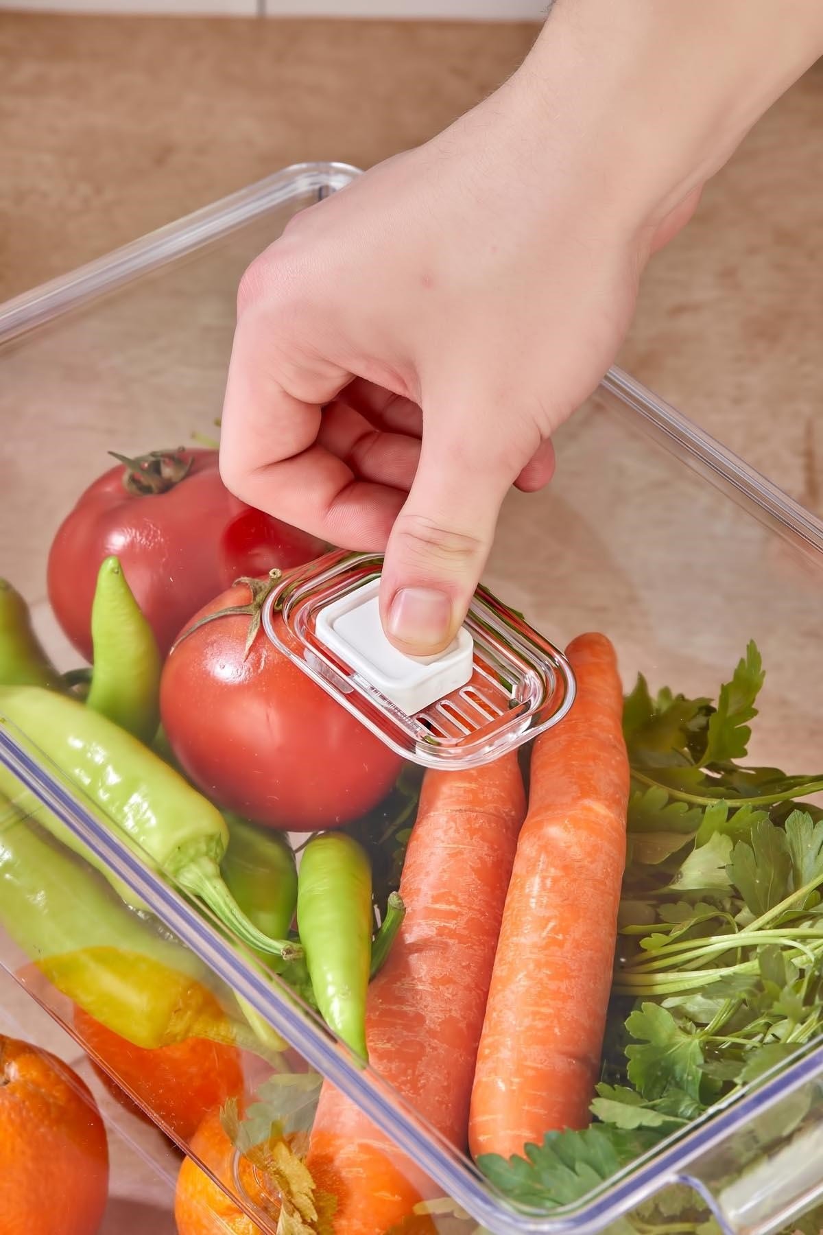 2'li Büyük Boy Vakum Düğmeli Kapaklı Dolap İçi Organizeri & Kırılmaz Düzenleyici Kutu (6,5Lt)