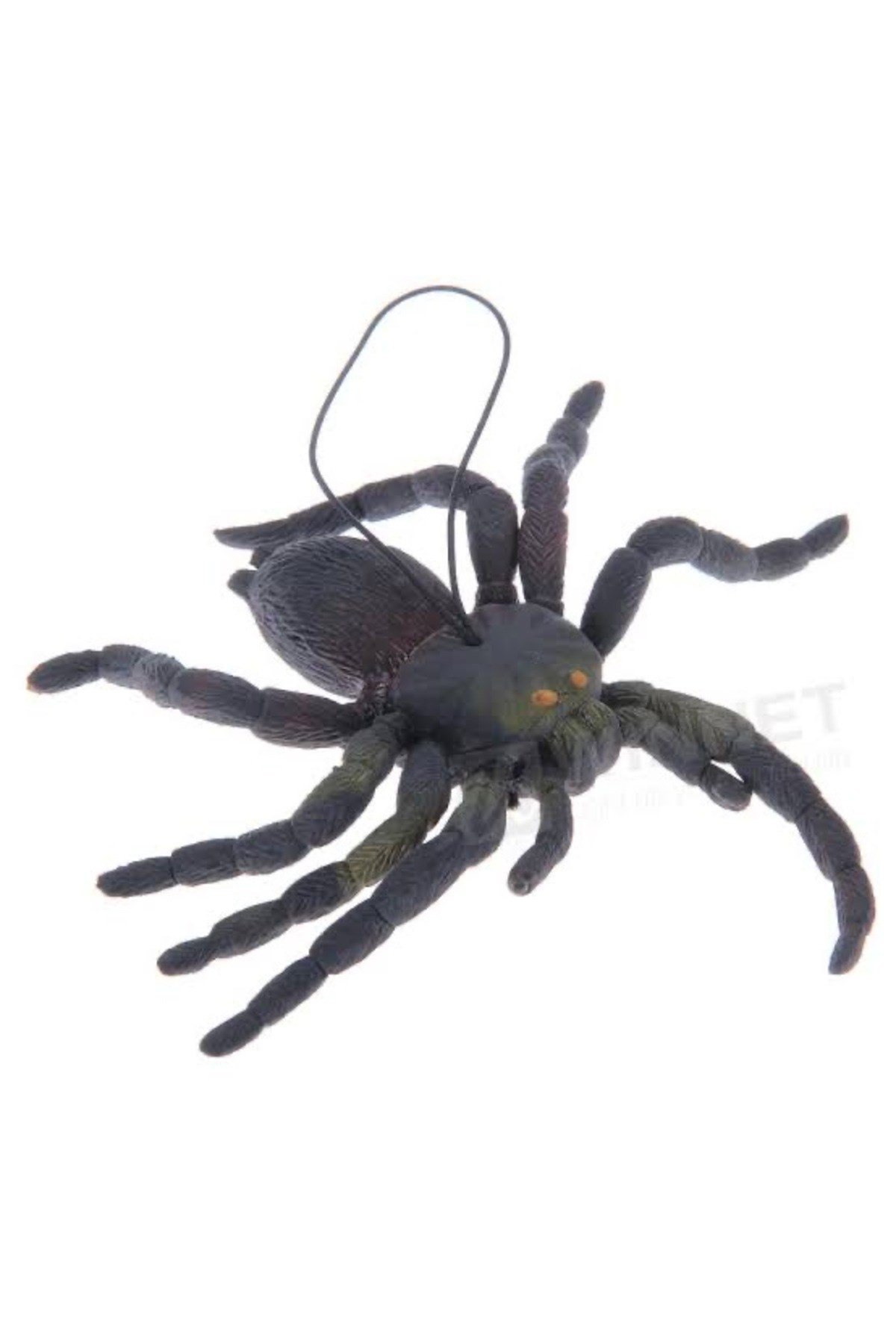 Yumuşak Plastik Malzemeden İmal Karışık Renk Tarantula Örümcek 6 Adet 13x13 cm
