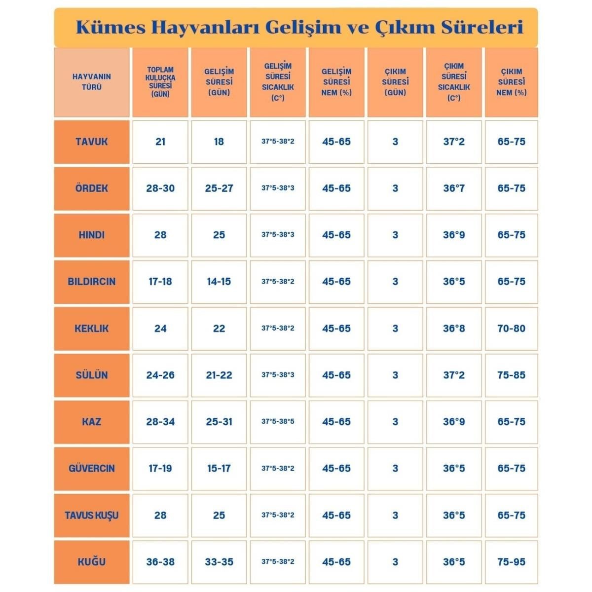 176 Yumurtalık Tam Otomatik Kuluçka Makinesi | 5 Hazır Programlı | Çift Fanlı | Dijital Isı ve Nem Göstergeli