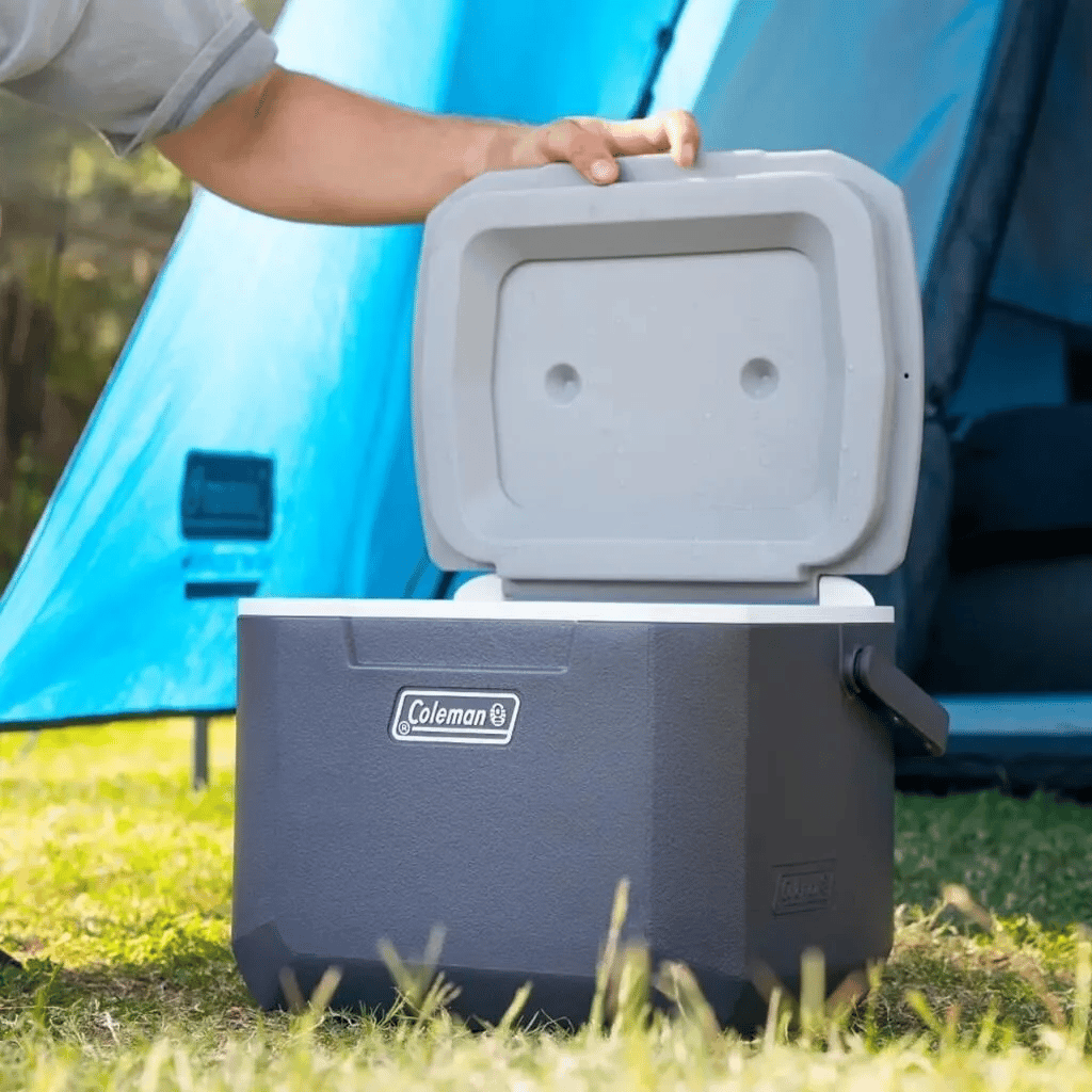 Coleman 15 Lt. Gri Daintree Personal Hard Cooler Soğutucu Buzluk 15 Lt/Grey