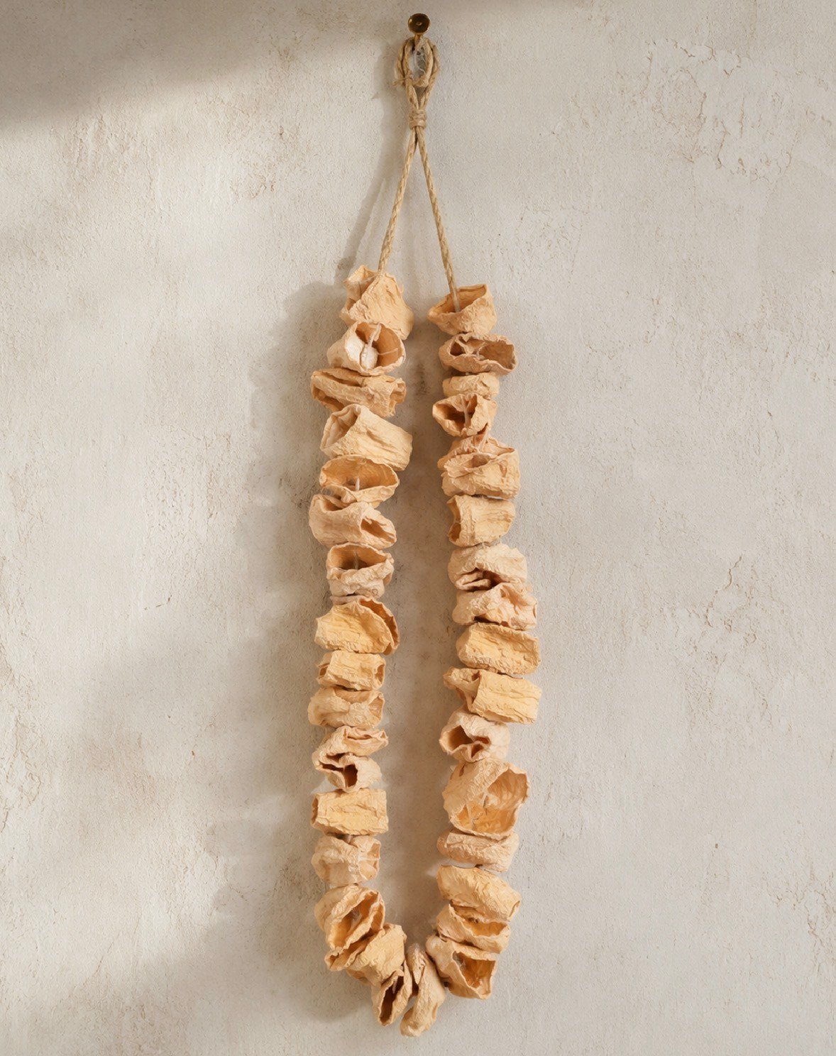 Dolmalık kuru köy kabak