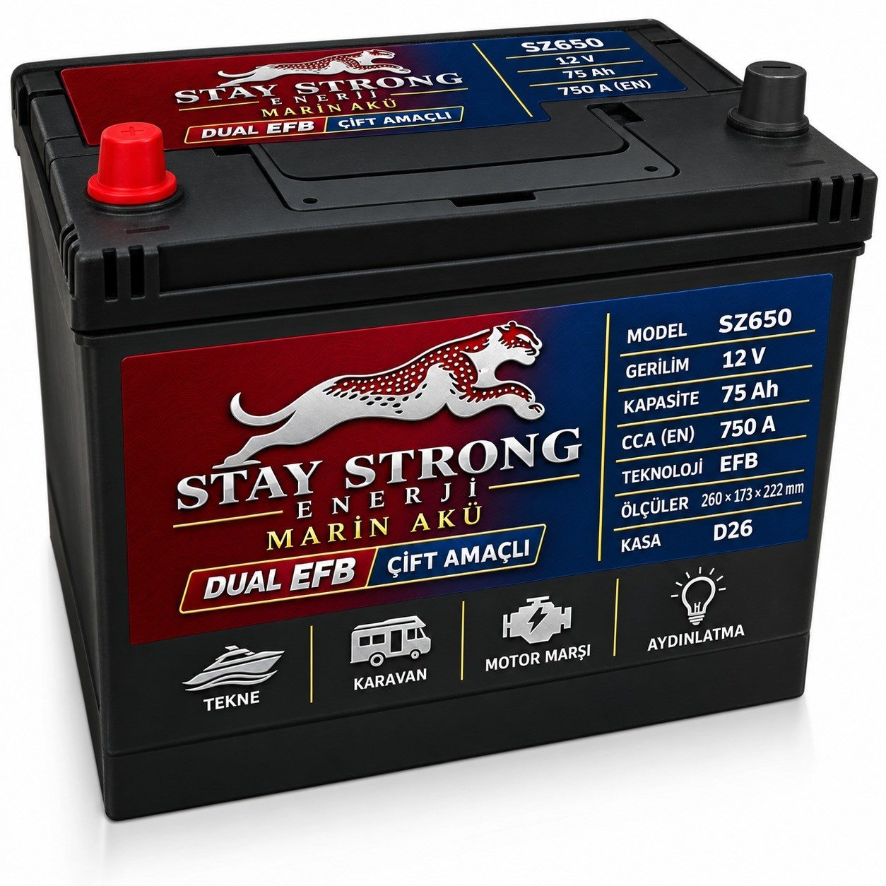 STAY STRONG SZ650 12V 75Ah 750A EFB Marin Çift Amaçlı Aküsü