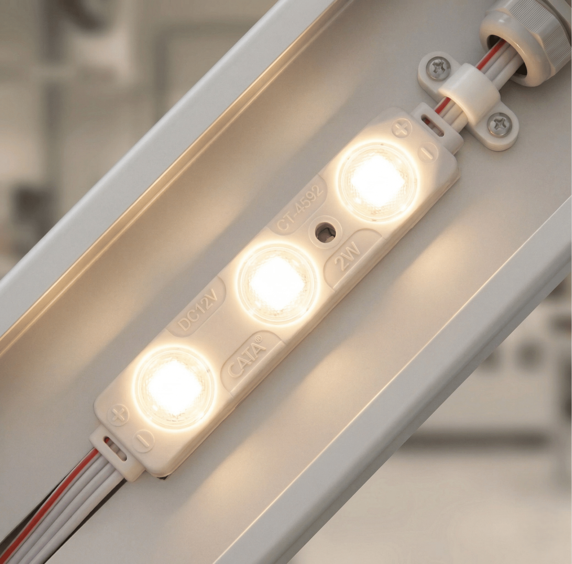 1 Adet 10 Adet CATA CT 4592 Modül Led 2W 3200K Gün Işığı 12V