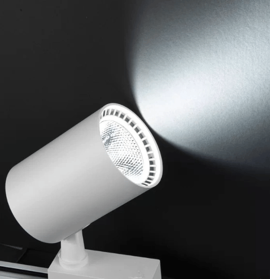 1 Adet NOAS YL29 3001 Paris 30W Beyaz Kasa Ray Spot 6400K Beyaz Işık