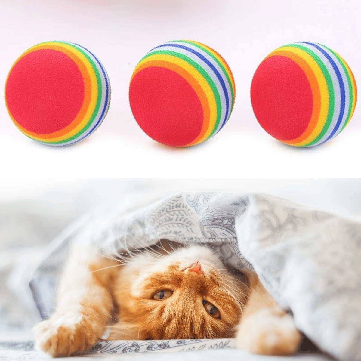 3lü Gökkuşağı Sünger Kedi Köpek Çiğneme Oyun Topu 4,2 Cm Bx40