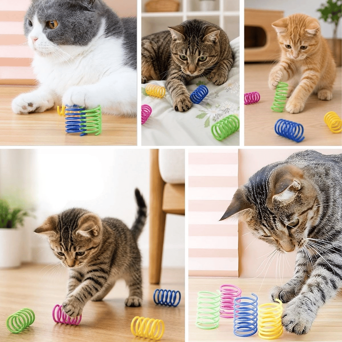 4'lü Renkli Spiral Yay Kedi Oyuncağı, Esnek Ve Hareketli Eğlenceli Kedi Oyun Seti Bx40