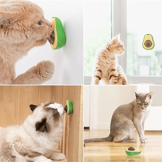 Avokado Model Yapışkanlı Kedi Oyuncağı Yenilebilir Kedi Nanesi Otu Bx40