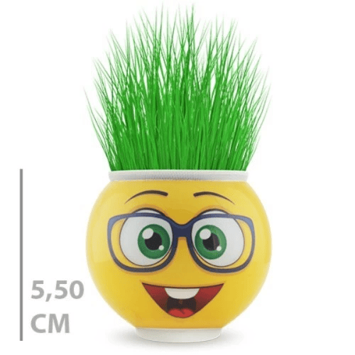 Çim Adam Saksı Emoji Figürlü 1 Adet