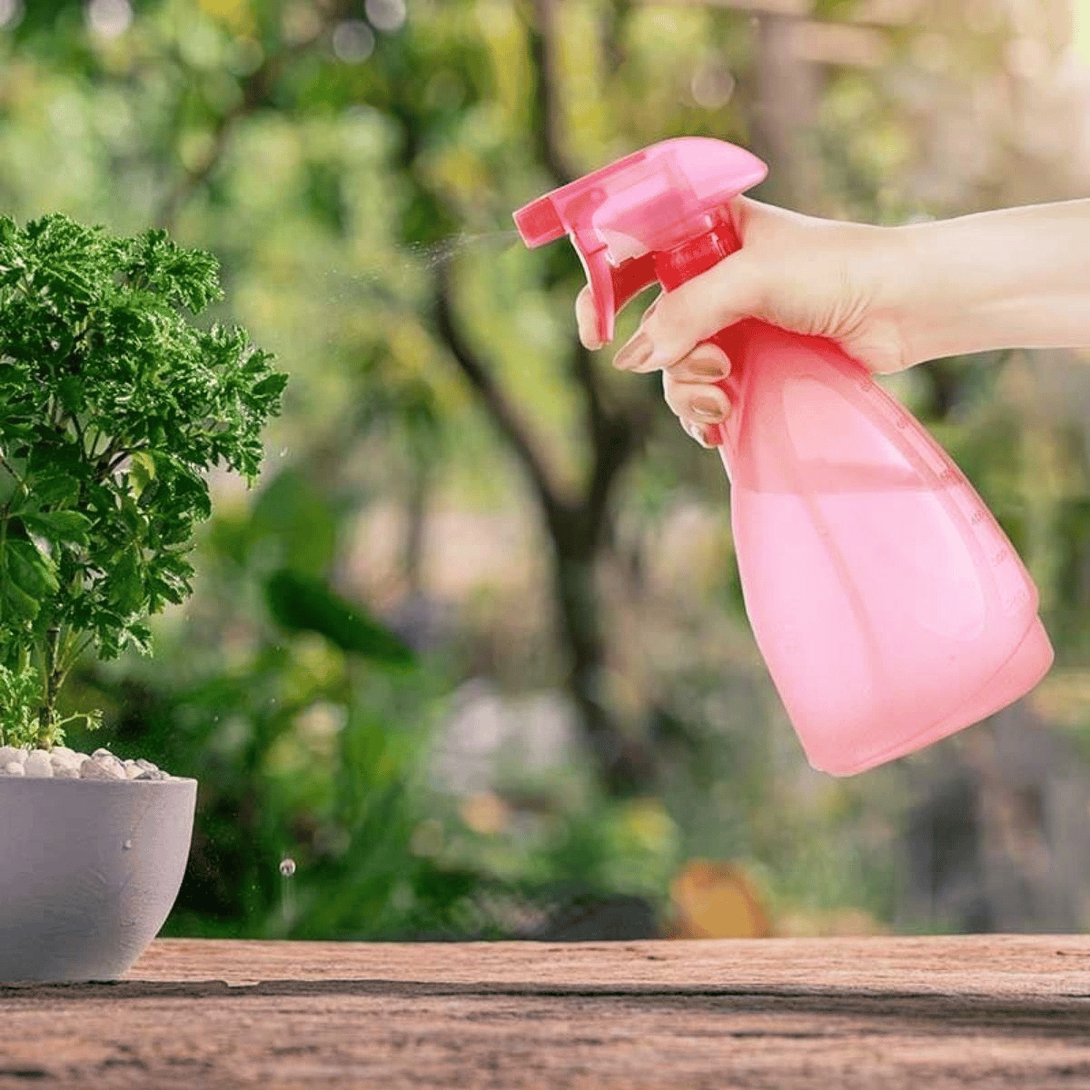 Çok Amaçlı Fısfıs Çiçek Sulama Plastik Su Sprey Şişesi 700 Ml Tp-219 Bx40