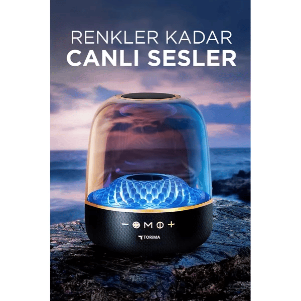 D33 Siyah Taşınabilir Kablosuz Bluetooth Hoparlör