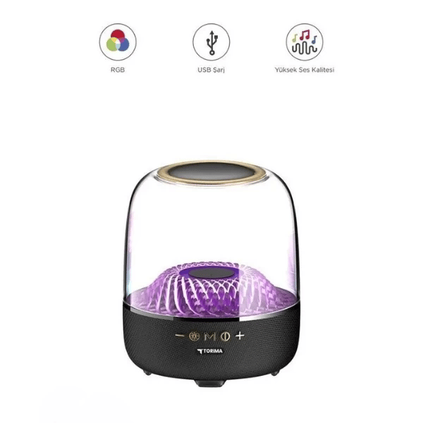 D33 Siyah Taşınabilir Kablosuz Bluetooth Hoparlör
