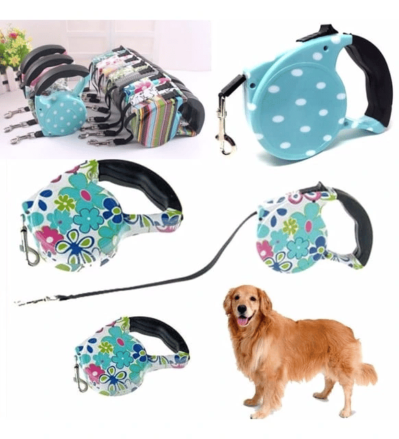 Desenli Köpek Tasması - Pup Style