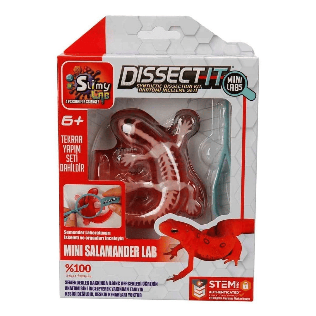 Dissect it Mini Labaratuvar 38083/38085-S- Stokta Olan Model Gönderilir