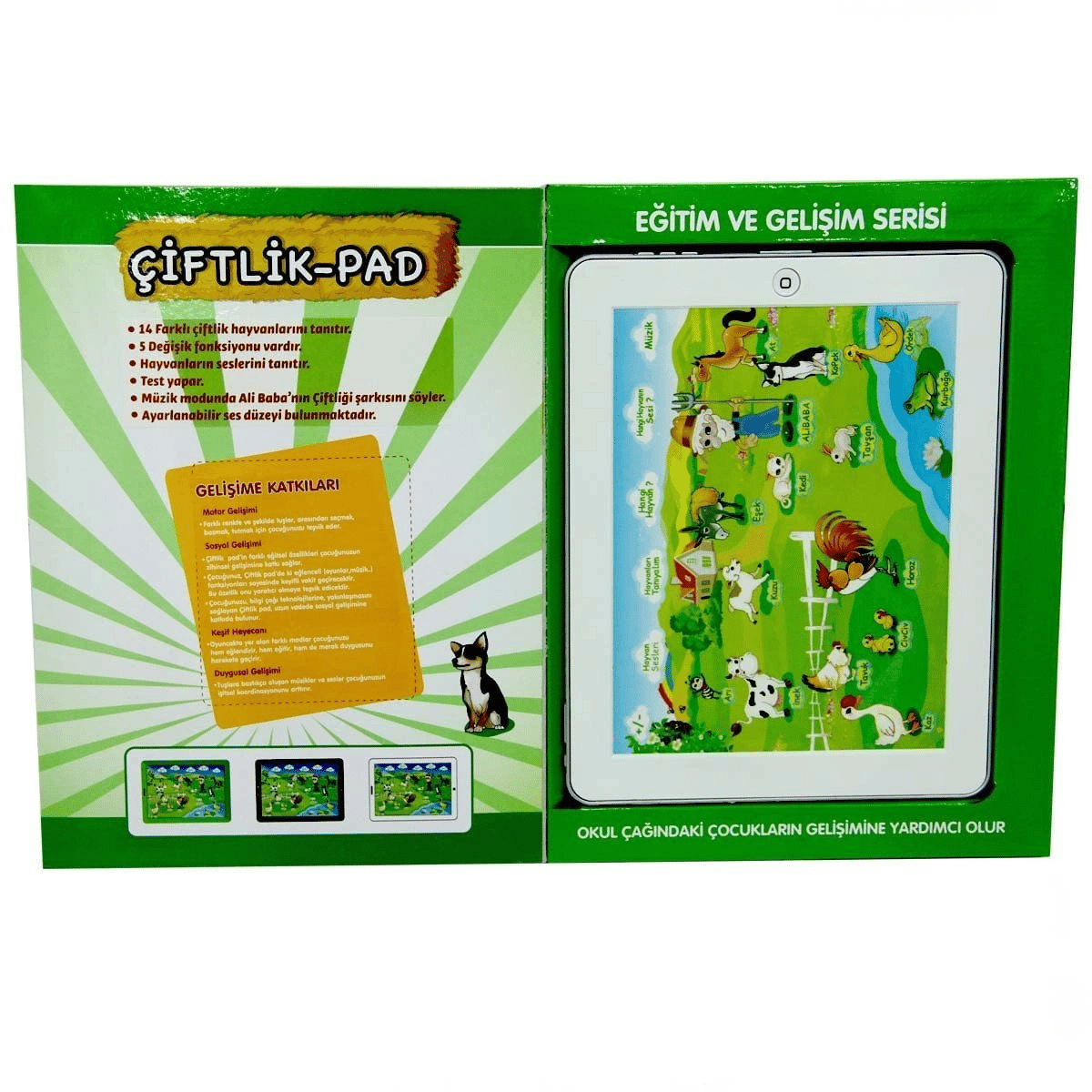 Eğitici Çiftlik Pad YY-582